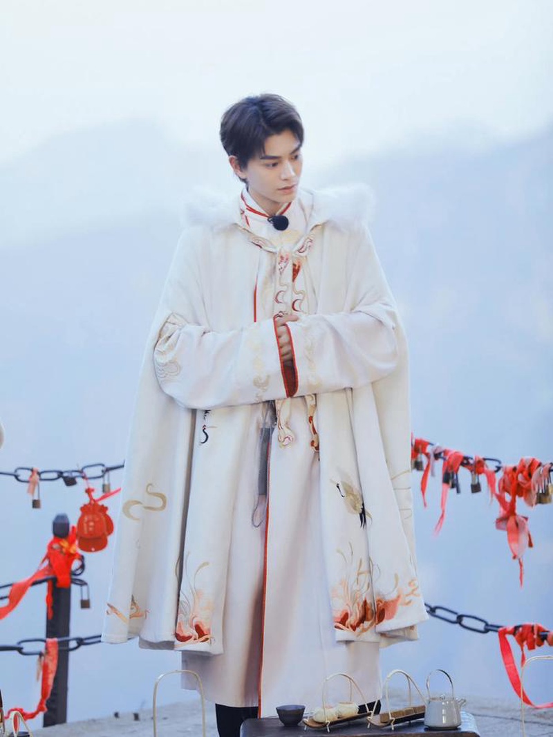 丁禹兮